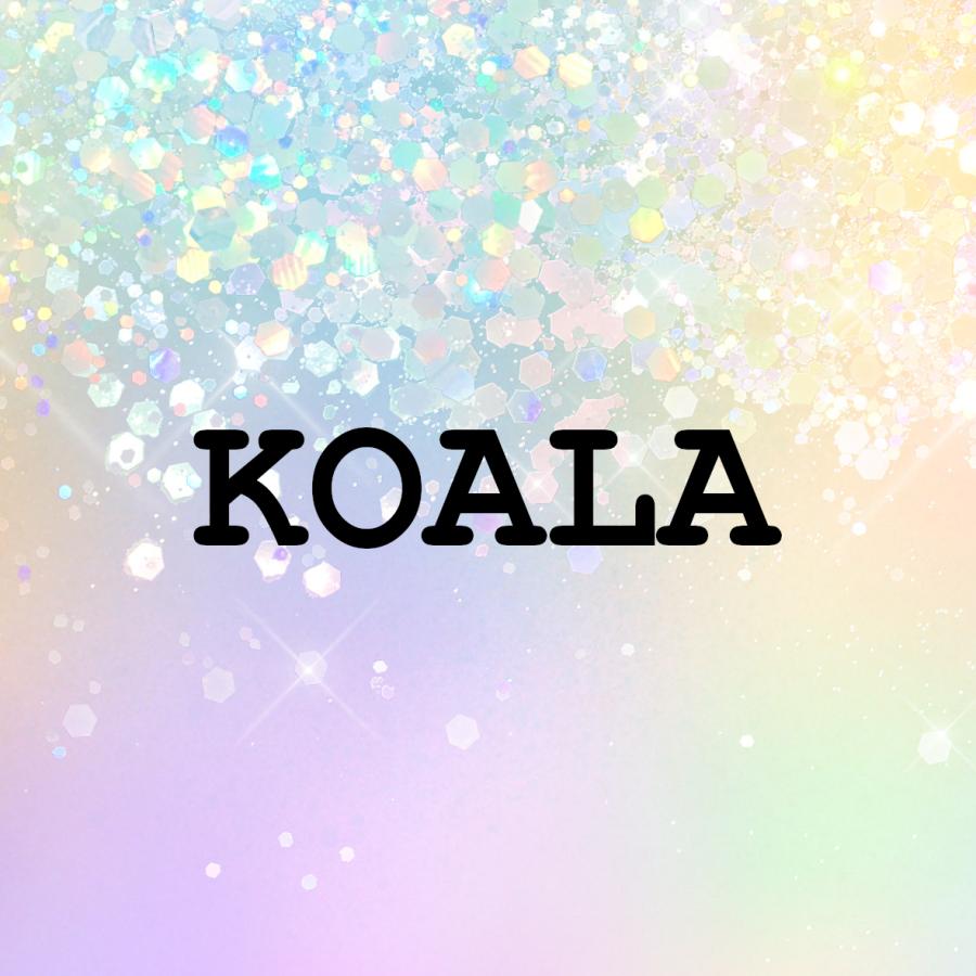 Challenge Paket "KOALA"